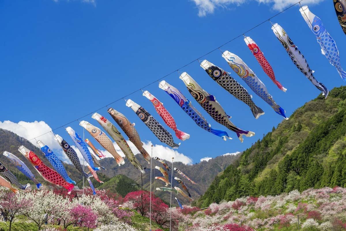 🌳 이마바리 시민의 숲 플라워 파크 (이마바리 시민노모리 후라와파쿠) 이미지 9